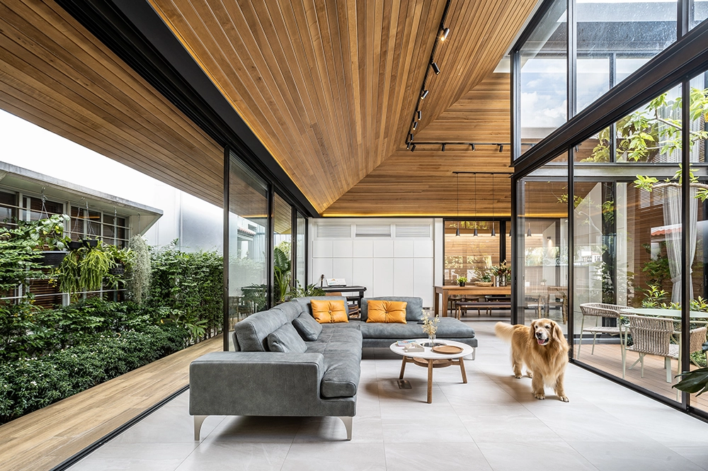 Thumbnail-The Roof House